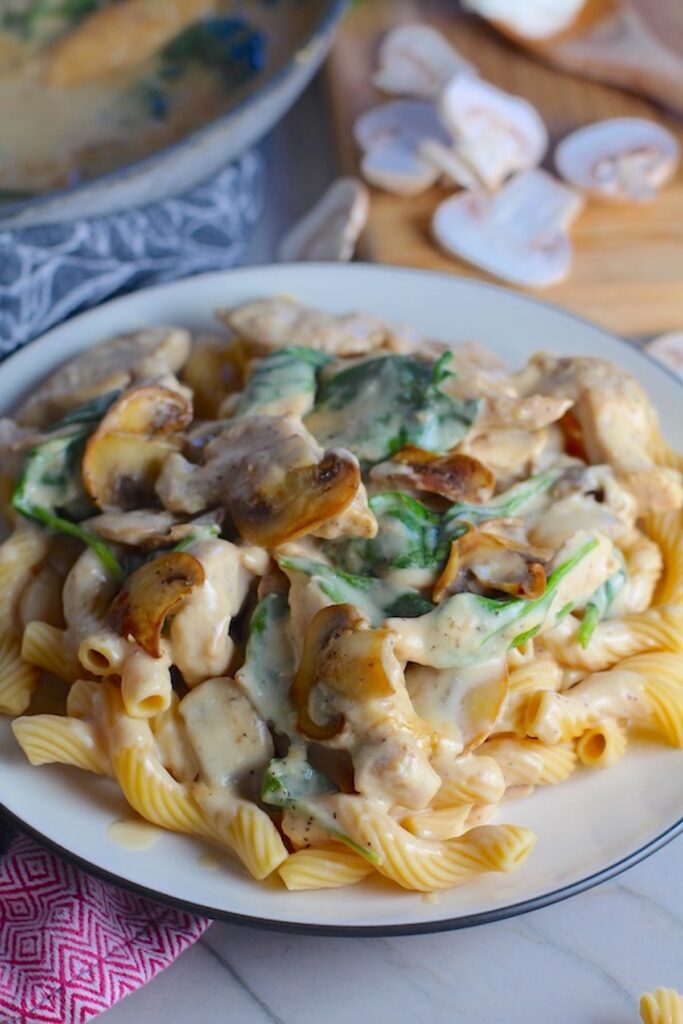 Healthy Chicken Mushroom Stroganoff Recipe - Talking Meals