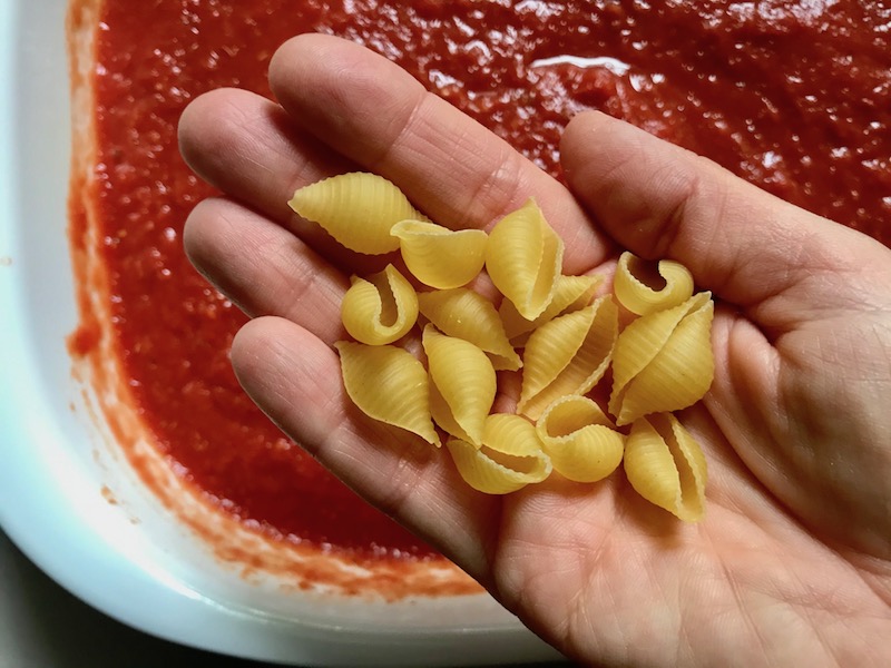 Hand holding uncooked shell pasta over tomato sauce in casserole dish for Chicken Parmesan Pasta Bake. It cooks entirely in one casserole dish, including the pasta! Shell pasta in flavorful, tangy tomato sauce is topped with zucchini, chicken, mozzarella, parm, and crunchy breadcrumb topping.