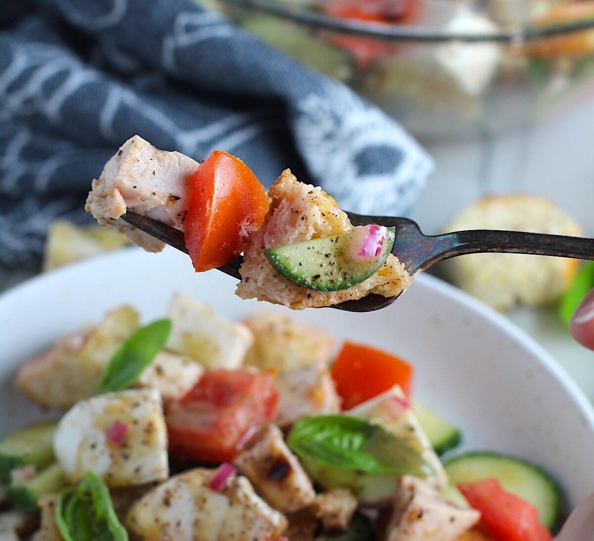 Toasted bread cubes, chicken, tomatoes, cucumber on a fork over a bowl of Chicken Panzanella Salad Recipe. It's absolutely delicious.