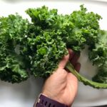 Hand stripping the kale leaves from a stem for Kale Caesar Salad with Baked Crispy Lemon Chicken strips