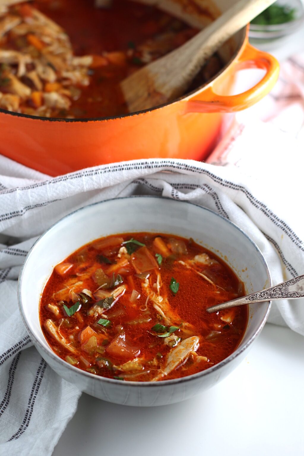 spanish-chicken-soup-recipe-talking-meals