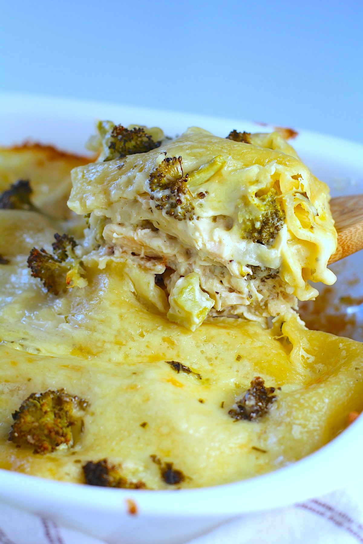 Broccoli and Chicken Lasagna in casserole dish with spatula scooping up a piece from the corner showing creamy and cheesy filling.