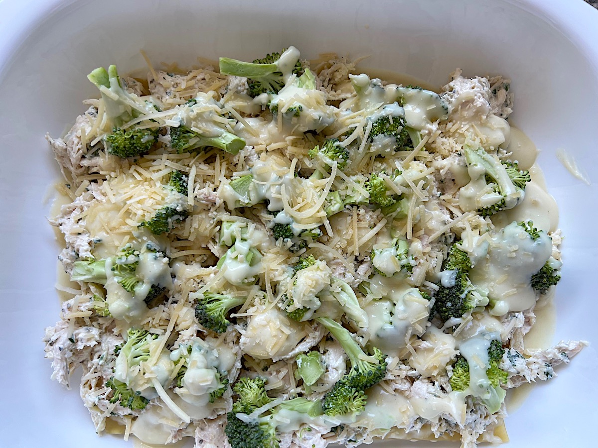 Chicken, cheese, and broccoli florets over lasagna noodles in a casserole dish with a shredded chicken and cheese filling scoop added to one corner for Broccoli and Chicken Lasagna Recipe.