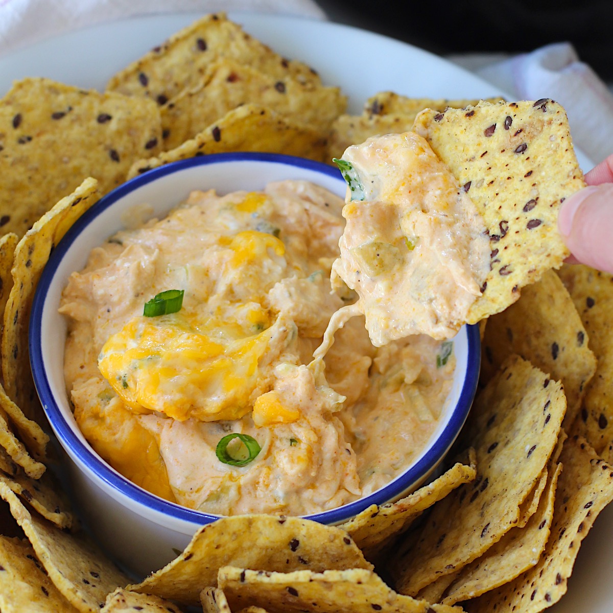 Buffalo Chicken Dip in the Slow Cooker Talking Meals